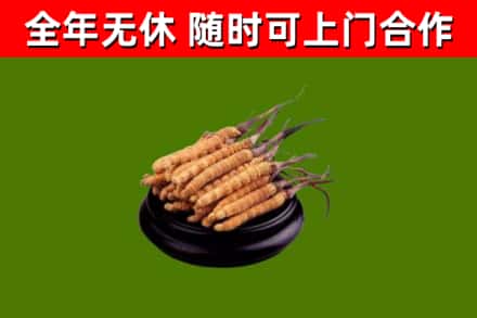 万山区烟酒回收冬虫夏草.jpg