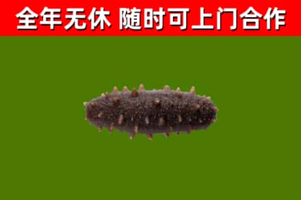 万山区烟酒回收干海参.jpg